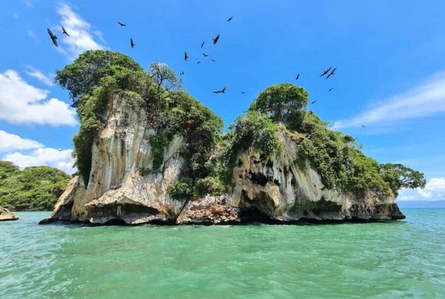 4in1: Los Haitises+ Kayaking+ Natural Pools+ Montana Redonda - Guides, drivers, and the human side of the day