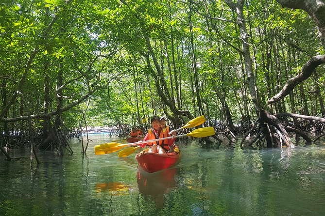 5 Hours Kilim Mangrove Kayaking Sharing Tour (With Hotel Pickup) - Two Hours Inside the Mangrove Channels