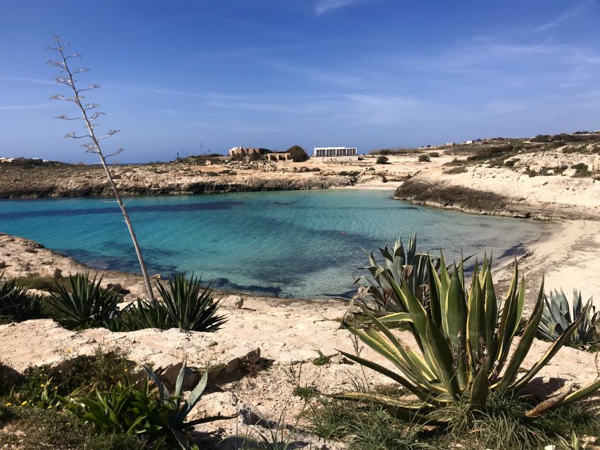 5 hours Lampedusa: Boat Tour with panino SUP e snorkeling - What the $62.63 price buys you