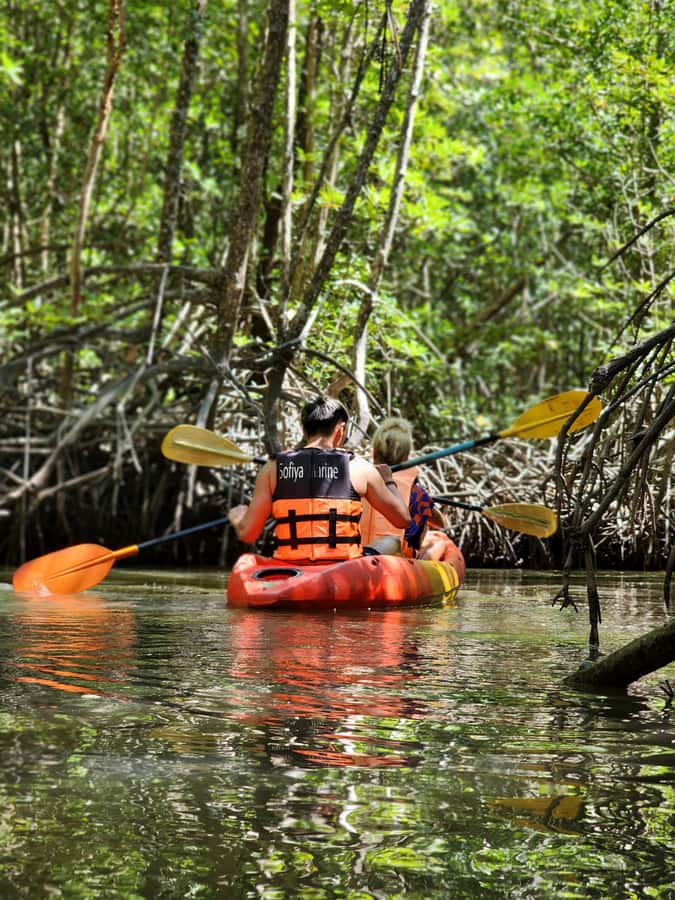 A Jungle-to-Sea Kayaking & Trekking Adventure in Phuket - Into Khao Phra Thaeo National Park