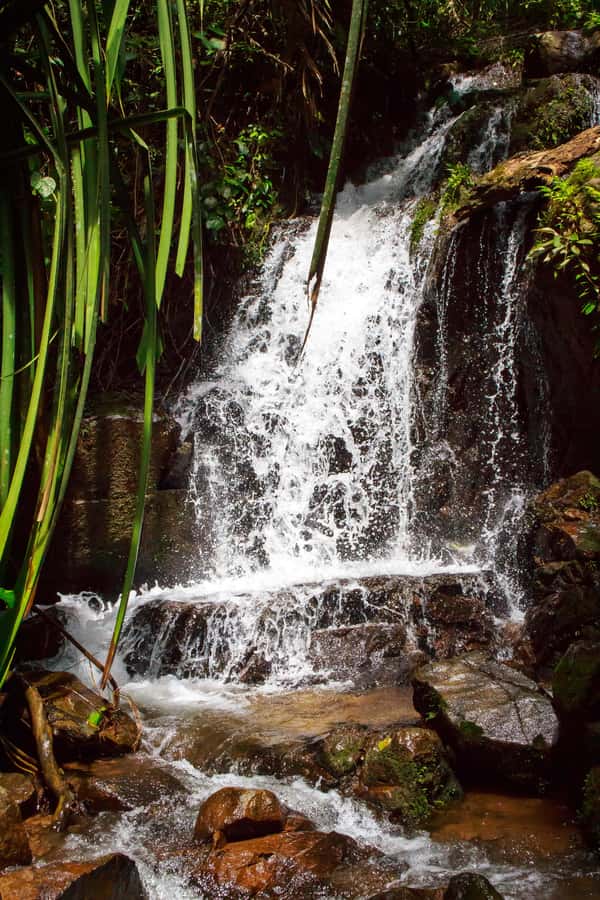 A Jungle-to-Sea Kayaking & Trekking Adventure in Phuket - Who will enjoy this outing most