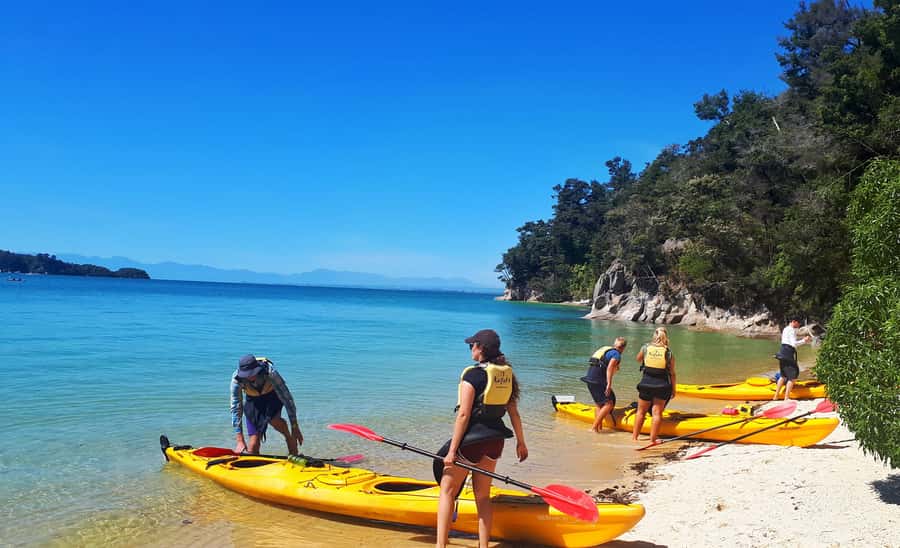 Abel Tasman Kayaks: 1 Day Freedom Kayak Rental - Is this suitable for beginners?