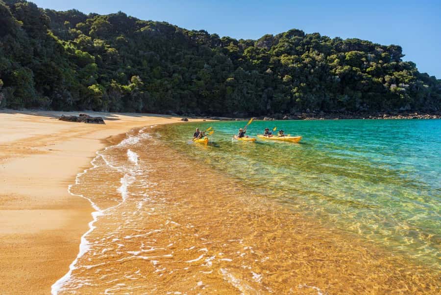 Abel Tasman National Park: Cruise, Kayak, & Hike Tour - What the $417 price includes