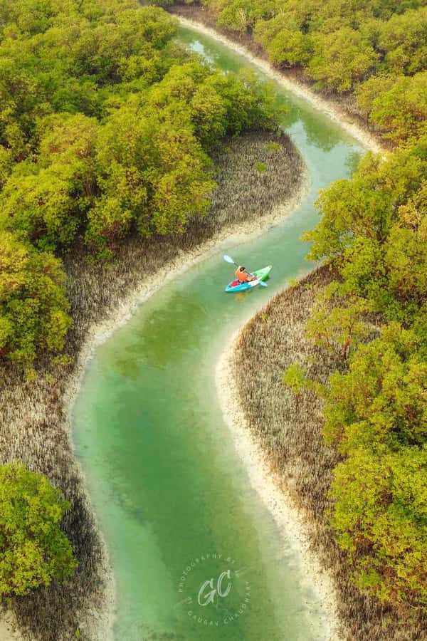 Abu Dhabi: Reem Central Park 2-hour Guided Kayak Tour - Key points at a glance