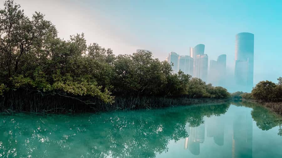 Abu Dhabi: Reem Central Park 2-hour Guided Kayak Tour - From the beach launch to Reem’s waterways