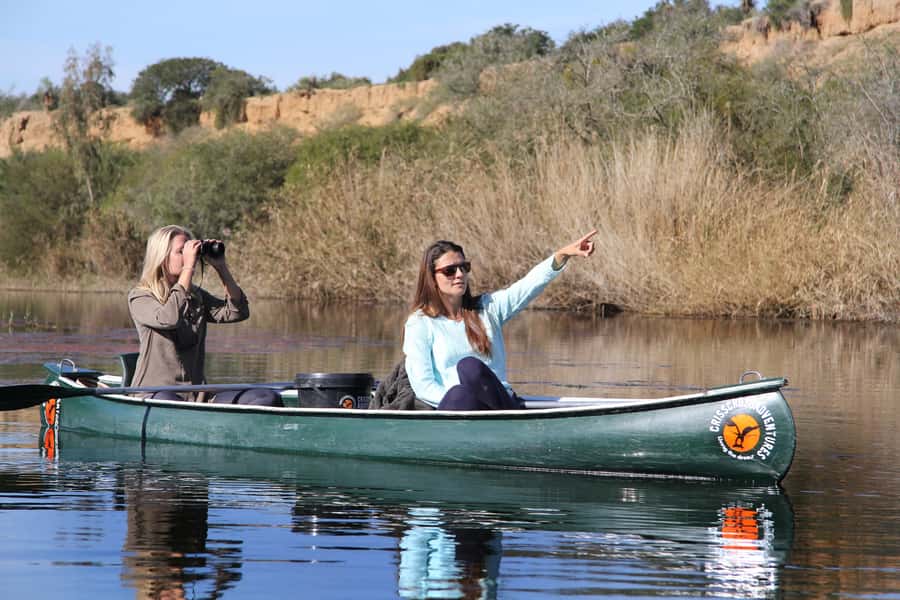 Addo River Safari - Guided Tour via Canoe - Key Points To Know