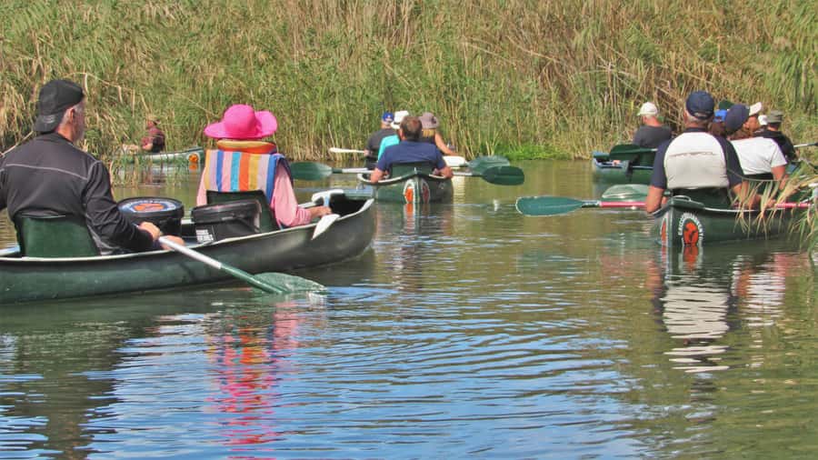 Addo River Safari - Guided Tour via Canoe - Bird Watching With Seven Kingfisher Species