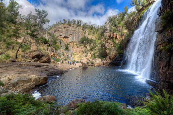 Adelaide City Kayak Tour - Wildlife Along an Urban River