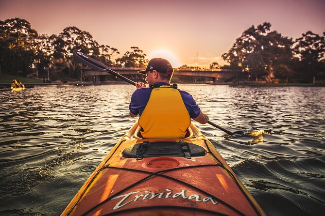 Adelaide City Kayak Tour - Adelaide Oval from the River