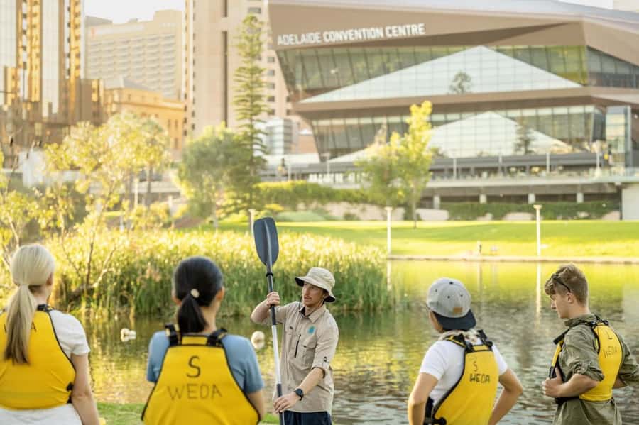 Adelaide: City Kayaking Experience - Key points to know before you book