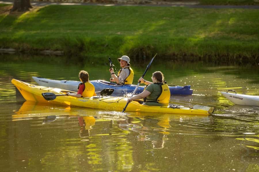 Adelaide: City Kayaking Experience - Family rules and practical limits