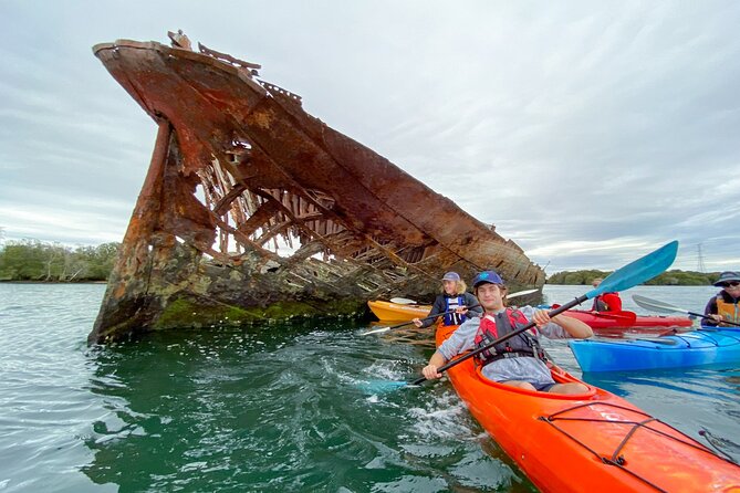 Adelaide Dolphin Sanctuary and Ships Graveyard Kayak Tour - What the three hours feel like