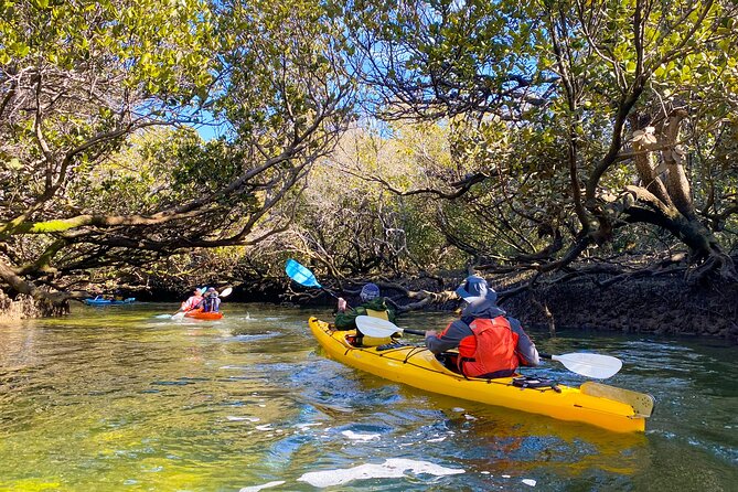 Adelaide Dolphin Sanctuary and Ships Graveyard Kayak Tour - What to bring for a more comfortable outing