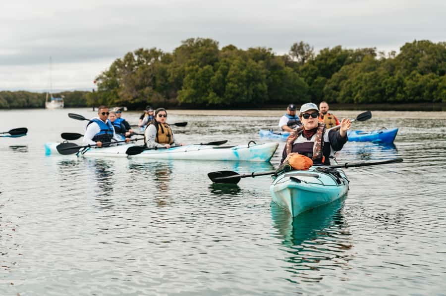 Adelaide: Dolphin Sanctuary Eco Kayaking Tour - Booking advice and weather flexibility