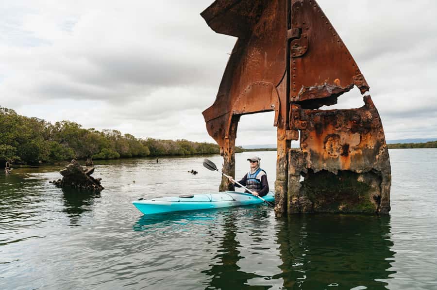 Adelaide: Dolphin Sanctuary Eco Kayaking Tour - Starting at Angas Inlet Boat Club