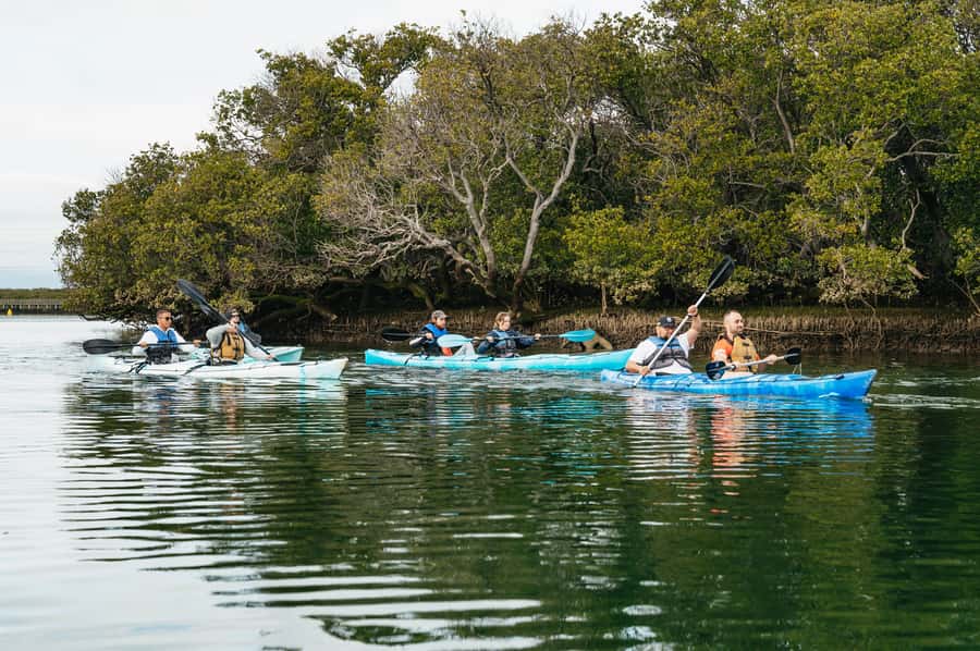 Adelaide: Dolphin Sanctuary Eco Kayaking Tour - Paddling through the Adelaide Dolphin Sanctuary