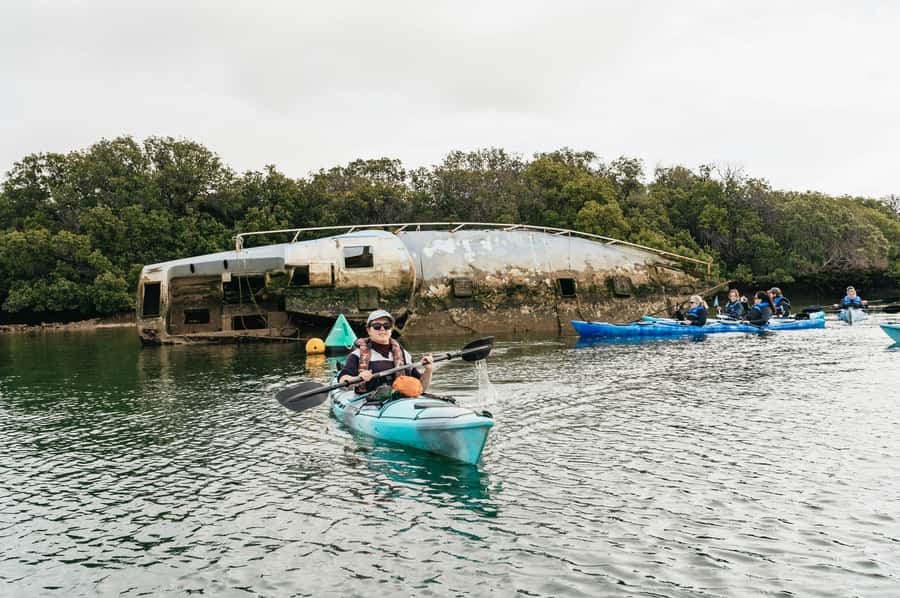 Adelaide: Dolphin Sanctuary Eco Kayaking Tour - Shipwrecks, tidal water, and changing routes