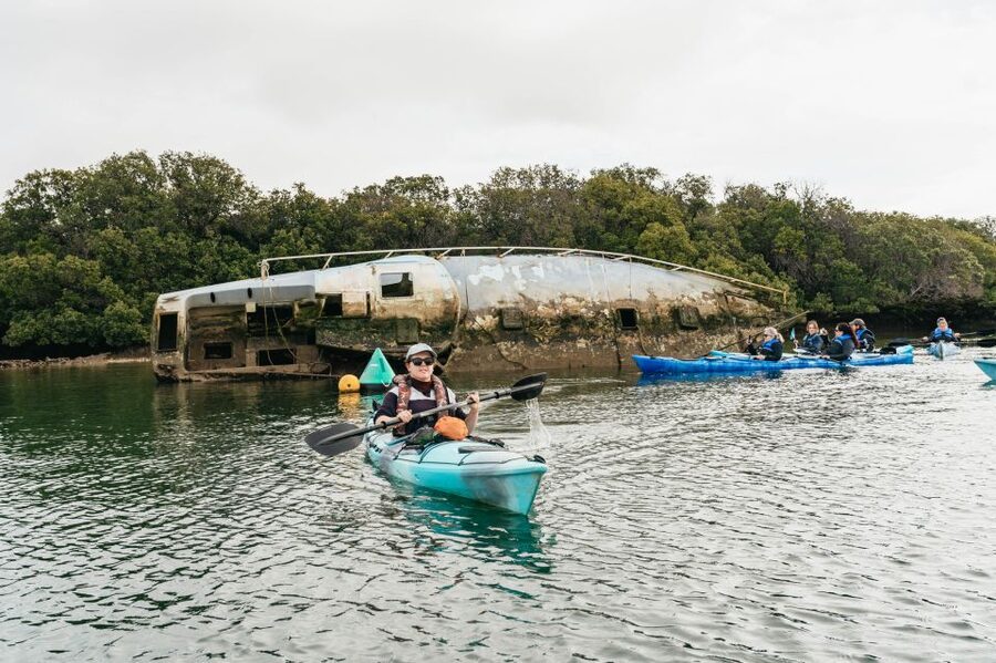 Adelaide: Dolphin Sanctuary Eco Kayaking Tour - A relaxed three-hour outing, with a few practical limits