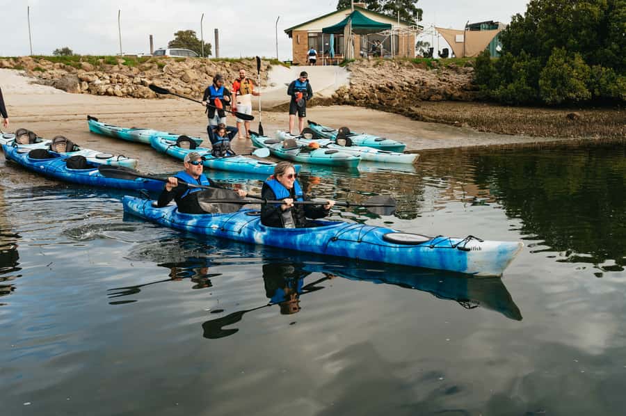 Adelaide: Dolphin Sanctuary Eco Kayaking Tour - Who will enjoy this Port Adelaide kayak tour?