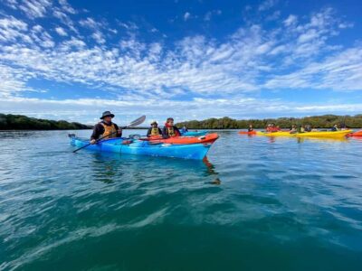 Dolphin Sanctuary Mangroves Kayak Tour