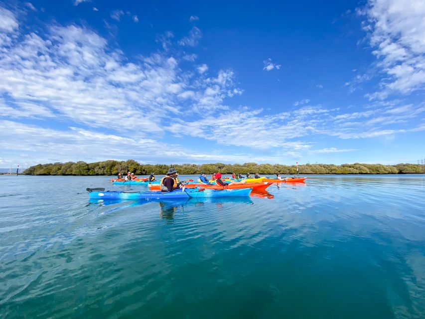 Adelaide: Dolphin Sanctuary Mangroves Kayak Tour - What to wear and pack