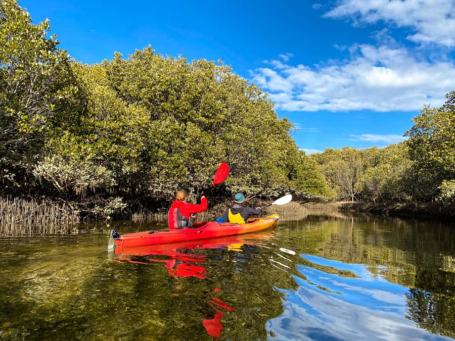 Adelaide: Dolphin Sanctuary Single or Double Kayak Rental - What the two-hour schedule really means