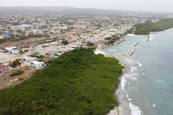 Adventure Kayak & Snorkeling at Reef Island Aruba - Group size, fitness, and practical comfort