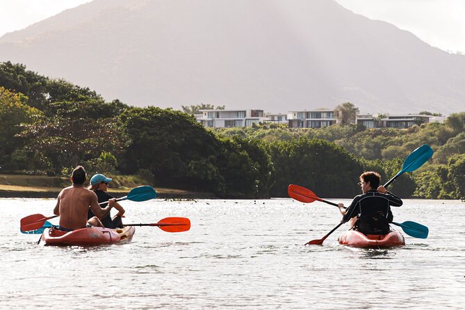Afternoon Guided Kayak Tour on the Tamarin River - What the Tamarin River outing is really like
