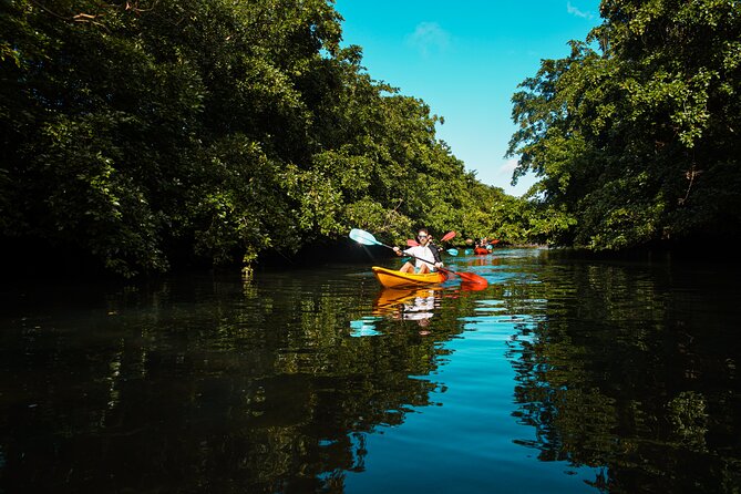 Afternoon Guided Kayak Tour on the Tamarin River - Calm paddling for beginners and families