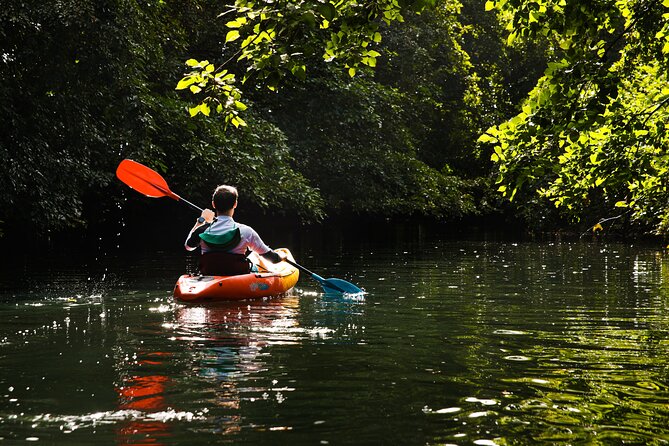 Afternoon Guided Kayak Tour on the Tamarin River - Paddling through Tamarin and learning local stories