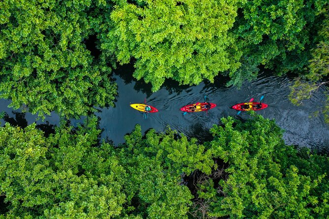 Afternoon Guided Kayak Tour on the Tamarin River - Meeting the guide at Tamarin Bay