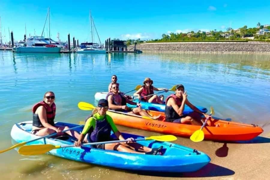 Airlie Beach: Half Day Turtle Tour Sea Kayaking Adventure - Who will enjoy this kayak tour