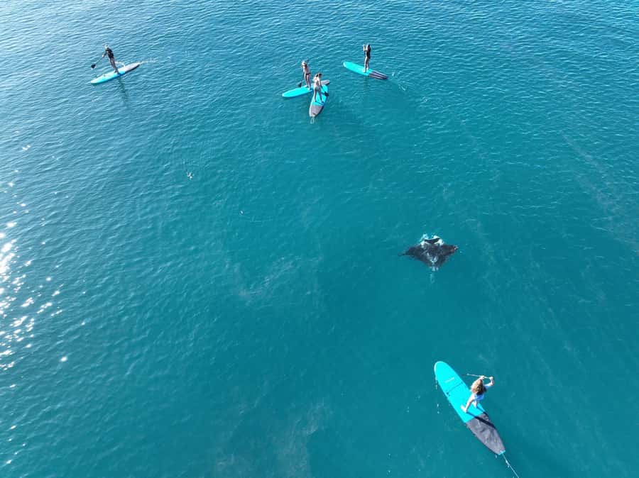 Airlie Beach: Whitsunday Islands Sailing, SUP & Snorkel Tour - Langford Island: the active hour