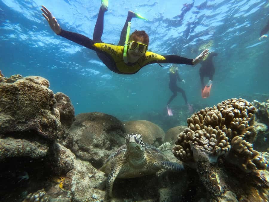Airlie Beach: Whitsunday Islands Sailing, SUP & Snorkel Tour - The return sail through the islands