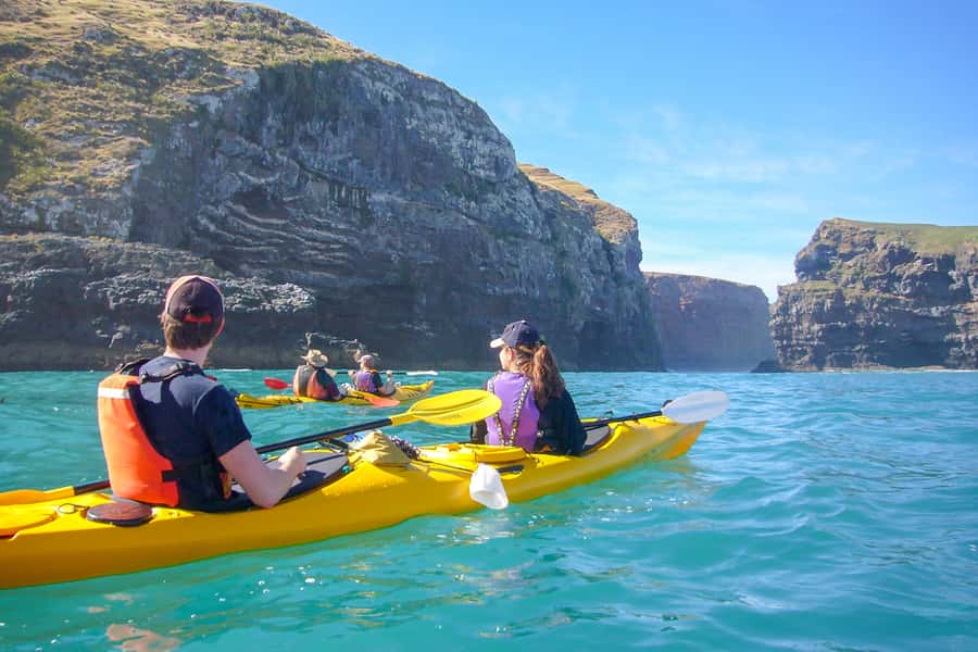 Akaroa: 4WD Safari and Guided Sea-Kayaking Experience - From Akaroa to Pōhatu Flea Bay by 4WD
