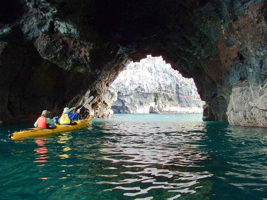 Akaroa: 4WD Safari and Guided Sea-Kayaking Experience - What to wear and pack for the water