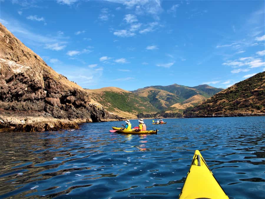 Akaroa: 4WD Safari and Guided Sea-Kayaking Experience - Morning or afternoon: which departure works best?