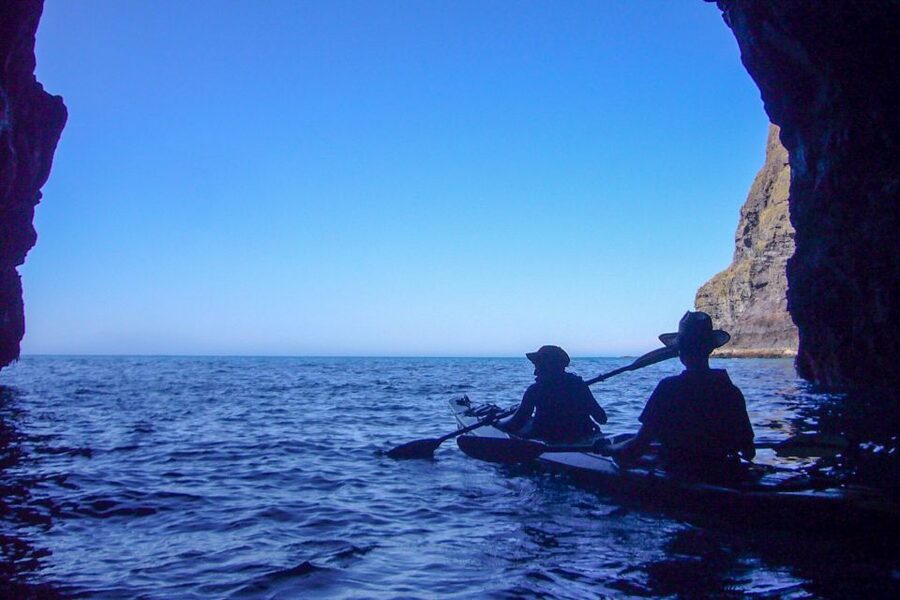 Akaroa: 4WD Safari and Guided Sea-Kayaking Experience - Is $80 good value?