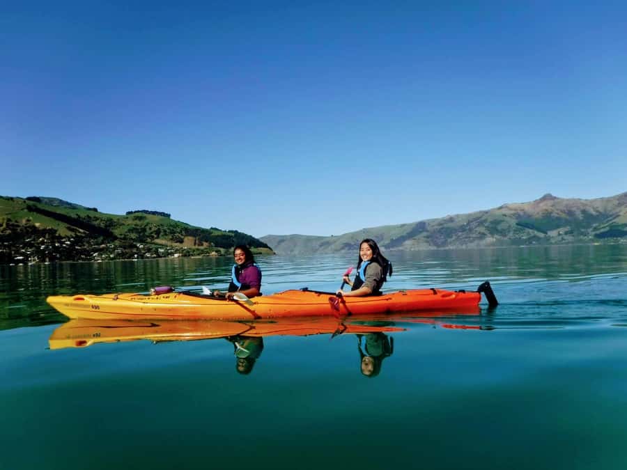 Akaroa: Akaroa Marine Reserve Sea Kayaking Tour - Paddling through an extinct volcanic crater