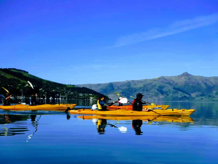 Akaroa: Akaroa Marine Reserve Sea Kayaking Tour - Looking for Hector dolphins and marine life