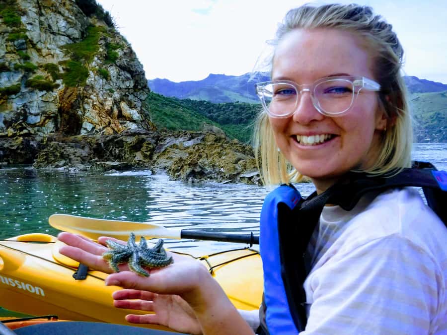 Akaroa: Akaroa Marine Reserve Sea Kayaking Tour - Why the guides earn so much praise