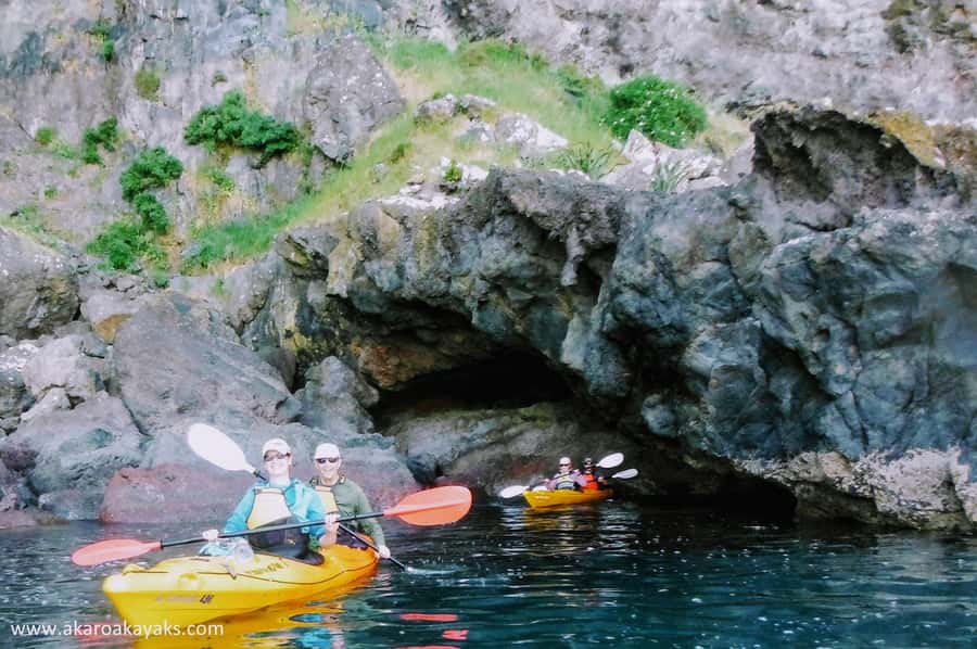 Akaroa: Akaroa Marine Reserve Sea Kayaking Tour - A 150-minute outing with a useful balance