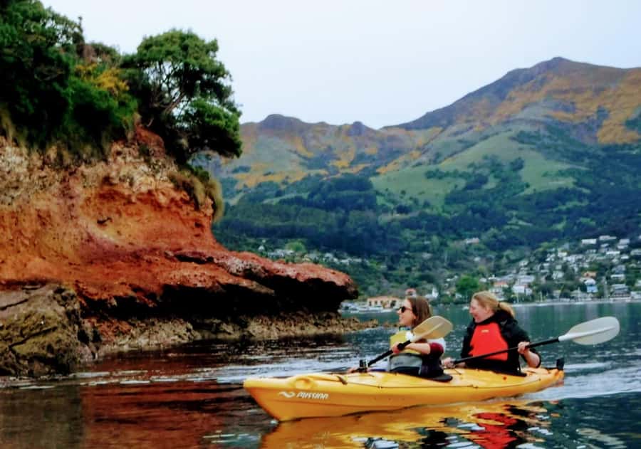 Akaroa: Akaroa Marine Reserve Sea Kayaking Tour - What to bring and what to leave behind