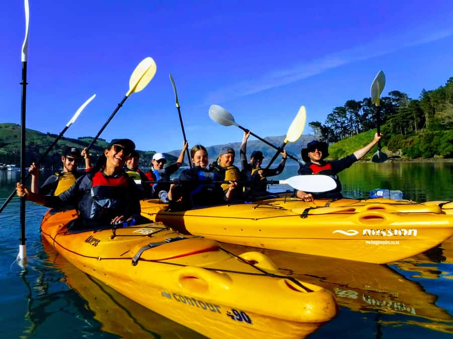 Akaroa: Akaroa Marine Reserve Sea Kayaking Tour - Is $80 a fair price?