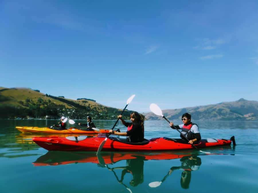 Akaroa: Guided Sunrise Sea Kayaking Tour - Key points at a glance
