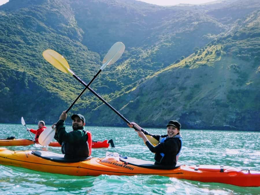 Akaroa: Guided Sunrise Sea Kayaking Tour - Should you book the Akaroa sunrise kayak?