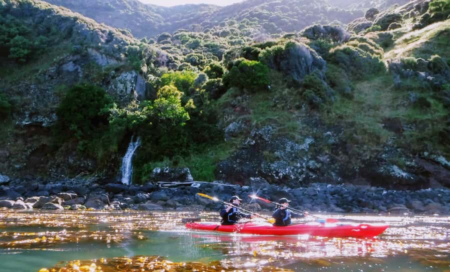 Akaroa: Guided Sunrise Sea Kayaking Tour - Paddling through the marine reserve