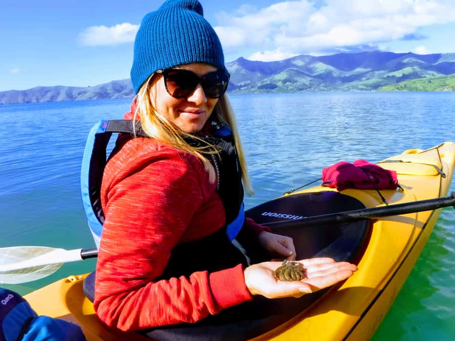 Akaroa: Guided Sunrise Sea Kayaking Tour - Meeting the guide and getting safely afloat