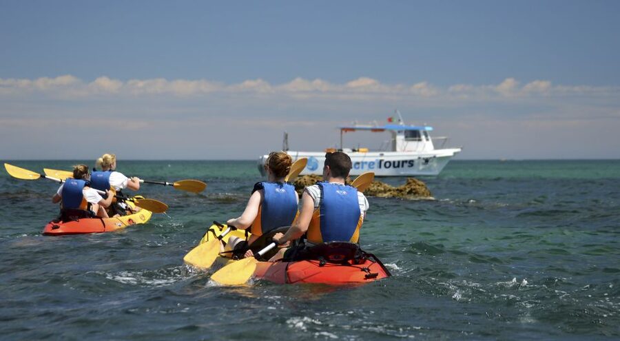 Albufeira: Algarve Kayak and Coastline Tour - Key points at a glance