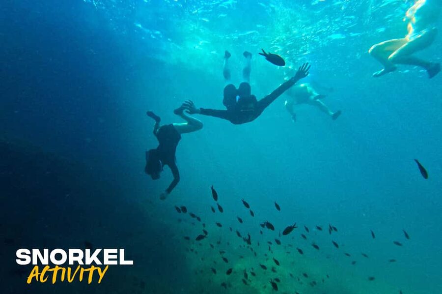 Alcudia: Kayak Tour with Snorkel & Sea Cave Swim - Key points to know before booking
